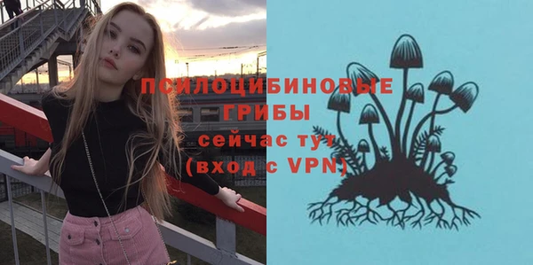 Альфа ПВП Дмитриев