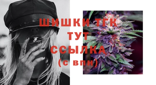 Альфа ПВП Дмитриев