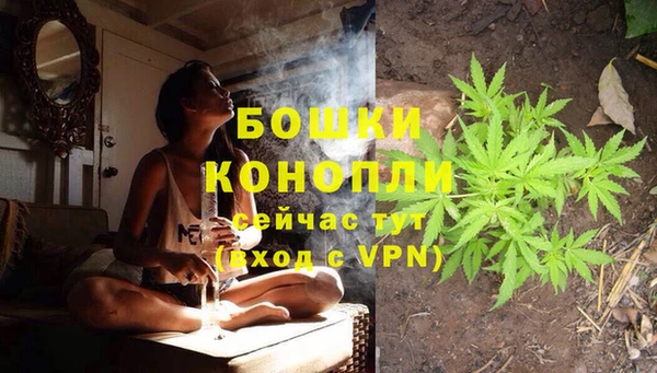 Альфа ПВП Дмитриев